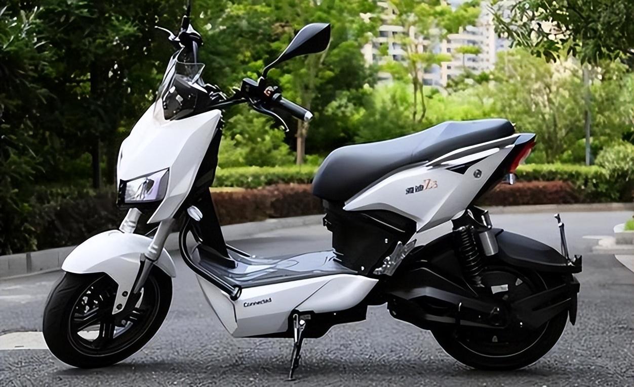 排行电动榜销量车2024款_2024电动车销量排行榜_2021销量最好的电动汽车