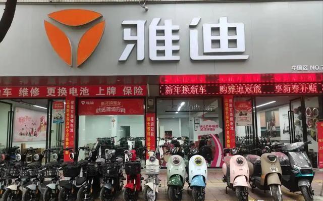 排行电动榜销量车2024款_电动销量车排名前十名_2024电动车销量排行榜