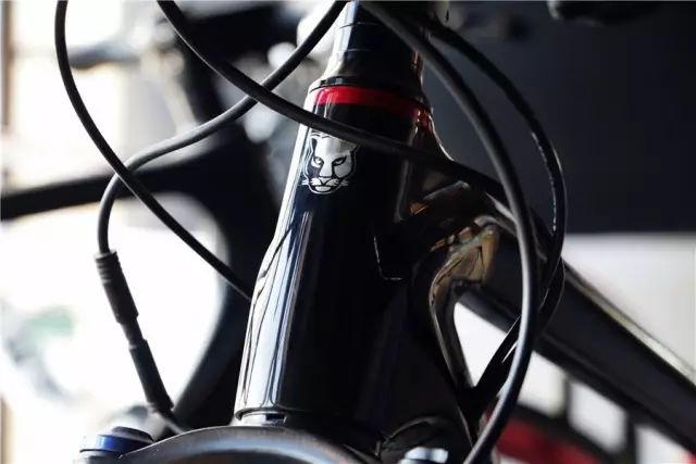 碳座管对骑行_碳架骑行台_骑行碳碳的车架怎么样