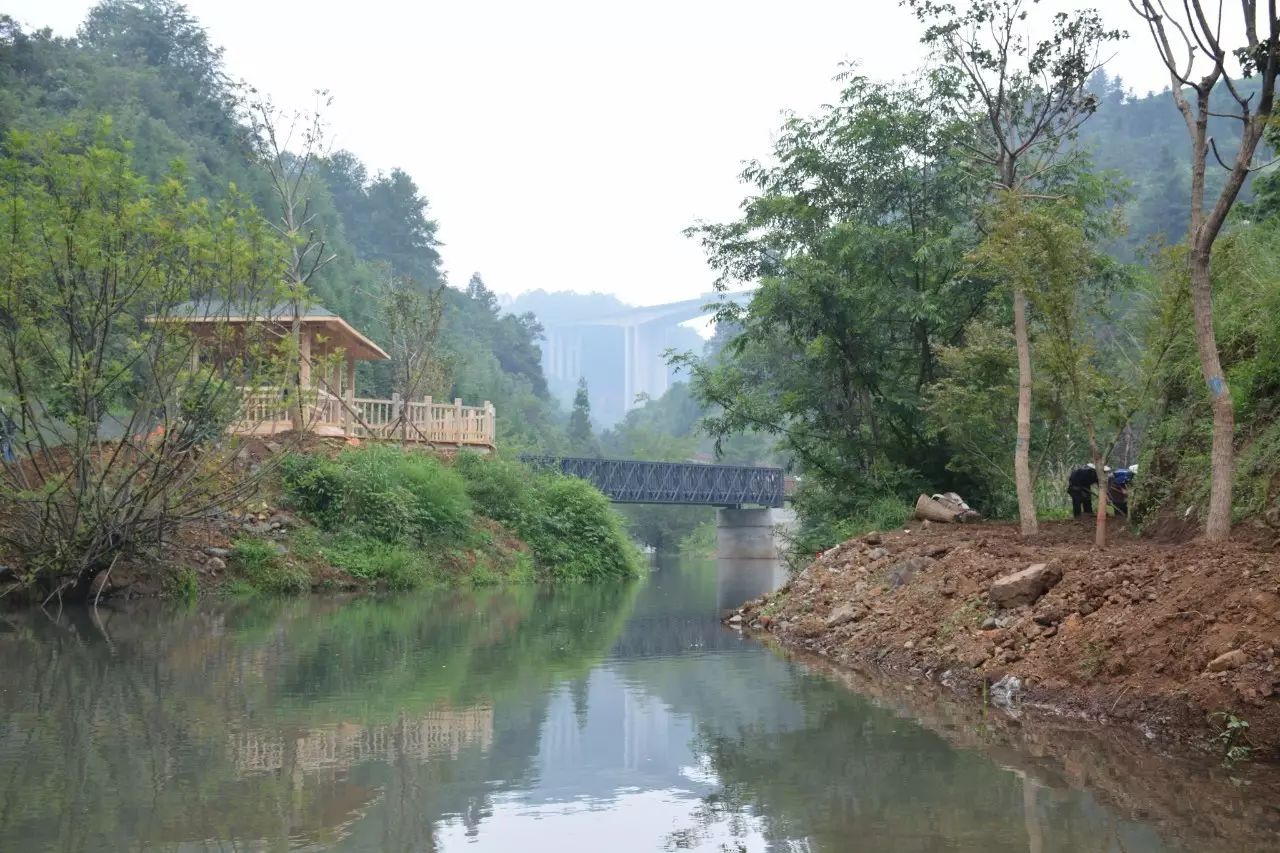 自行车美嘴和法嘴有什么区别_美的自行车_自行车美嘴尺寸