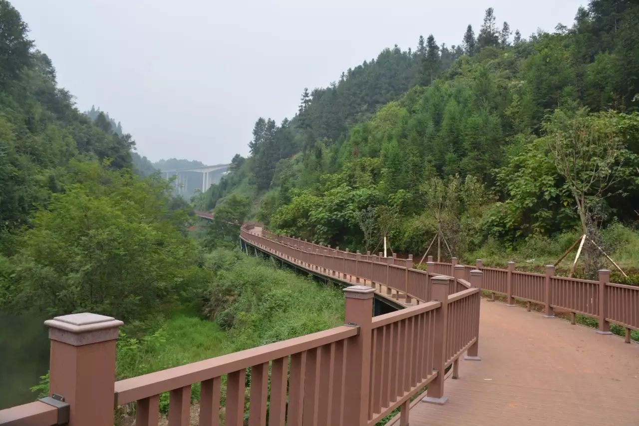 自行车美嘴尺寸_自行车美嘴和法嘴有什么区别_美的自行车