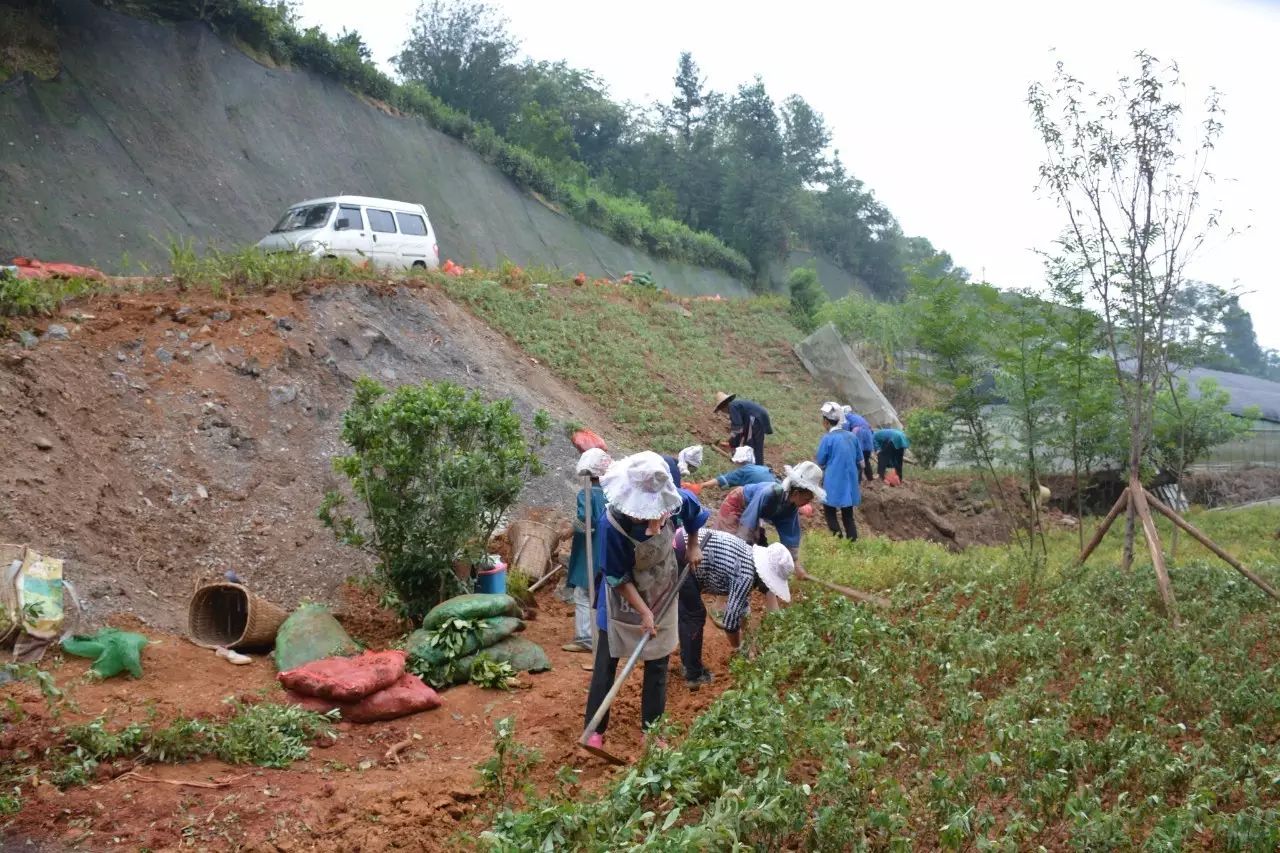 自行车美嘴尺寸_美的自行车_自行车美嘴和法嘴有什么区别