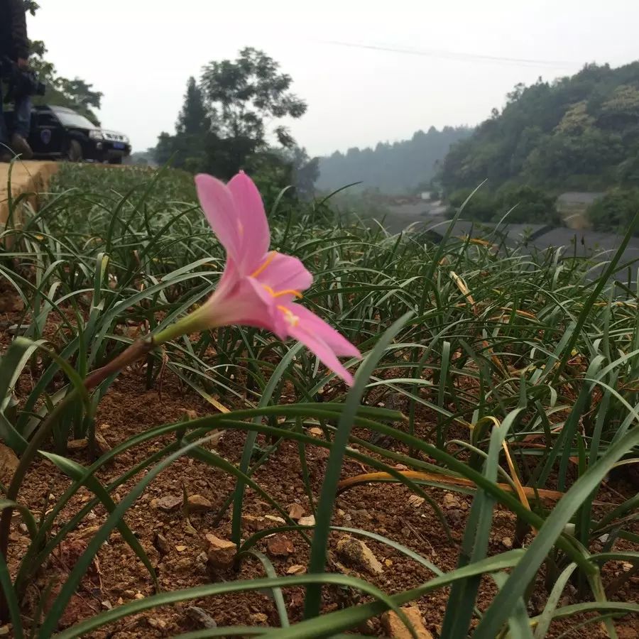 自行车美嘴尺寸_美的自行车_自行车美嘴和法嘴有什么区别