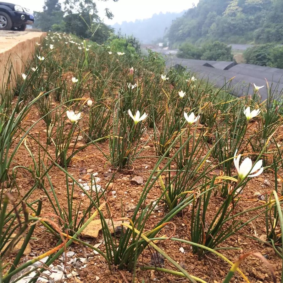 自行车美嘴和法嘴有什么区别_美的自行车_自行车美嘴尺寸