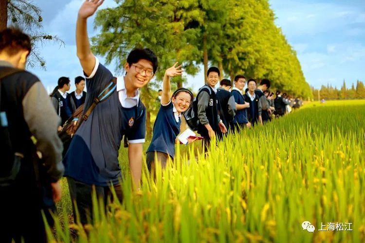 上海新桥发展规划_上海新桥镇规划_上海新桥镇2021年规划