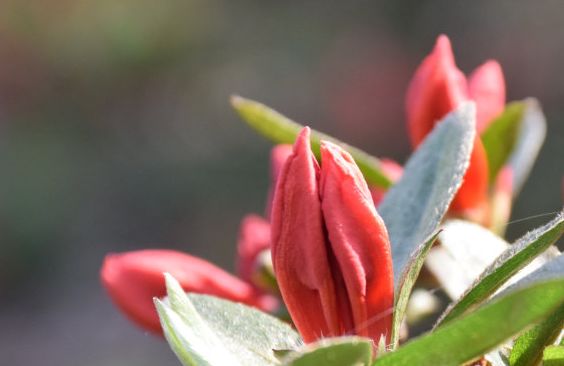 星空综合体育app下载 中医世家祖传秘方验方，(赶紧得收藏)