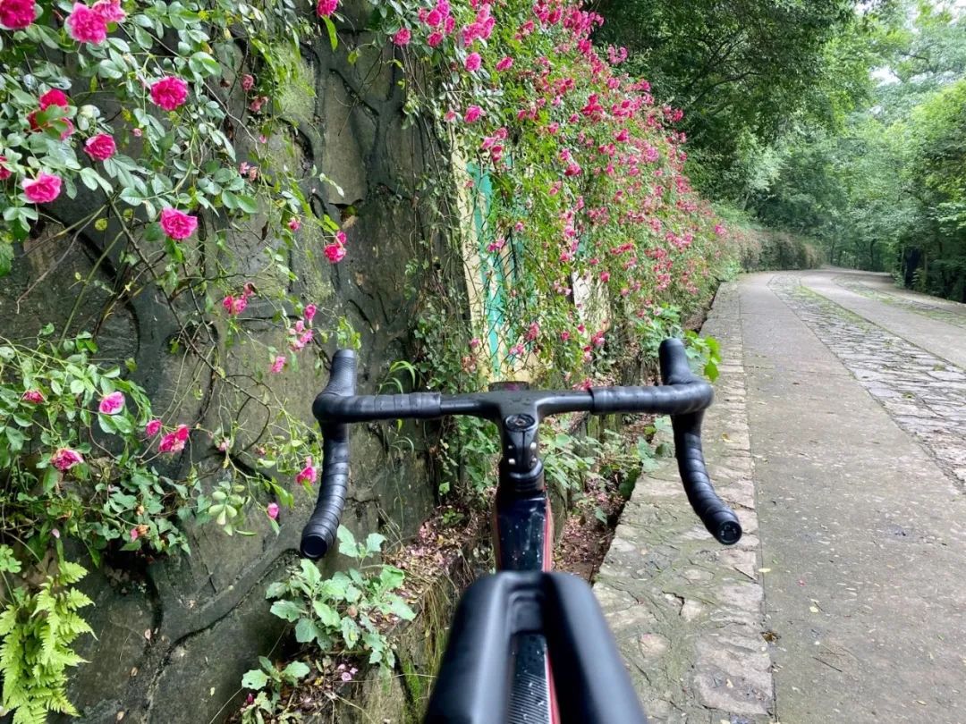 山地车安装塔基工具_山地车基塔怎么拆_山地自行车塔基拆教程