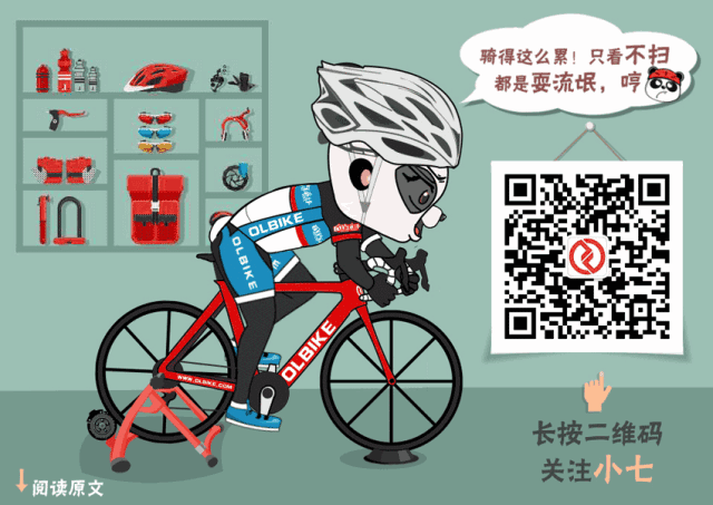 自行车车架品牌排行榜前十名_自行车车架品牌_自行车车架品牌大全