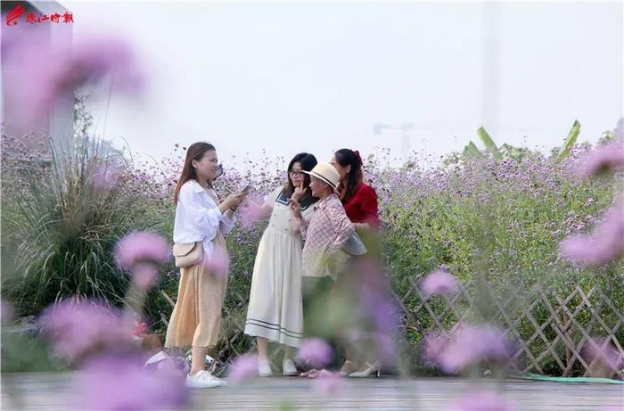 自行车多人观光车报价_观光自行车厂家直销_多人观光自行车