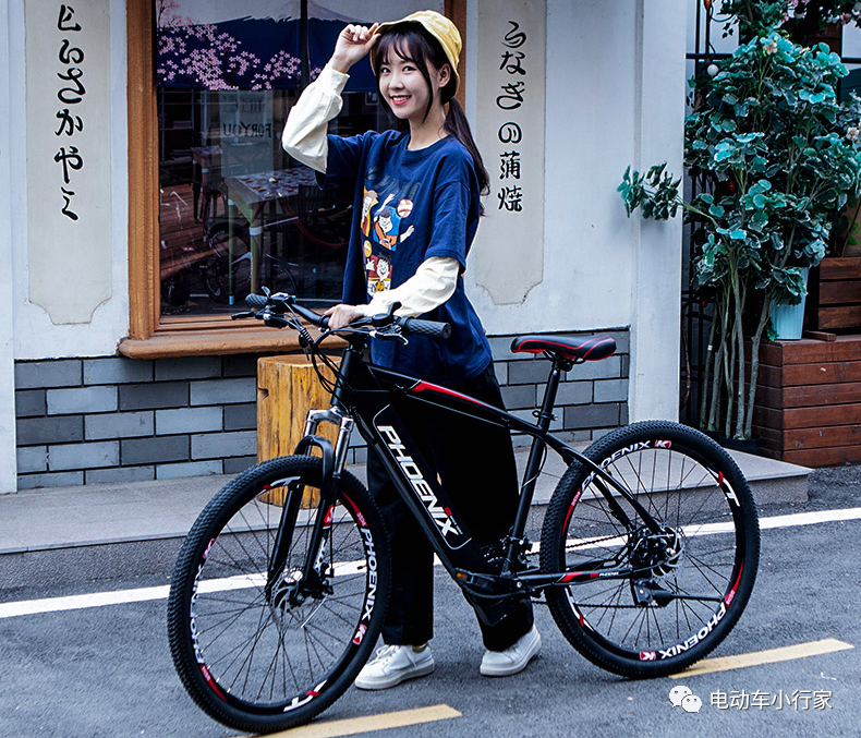 捷安特电动车轮胎多少钱_轮胎电动车捷安特能跑多快_捷安特电动车轮胎