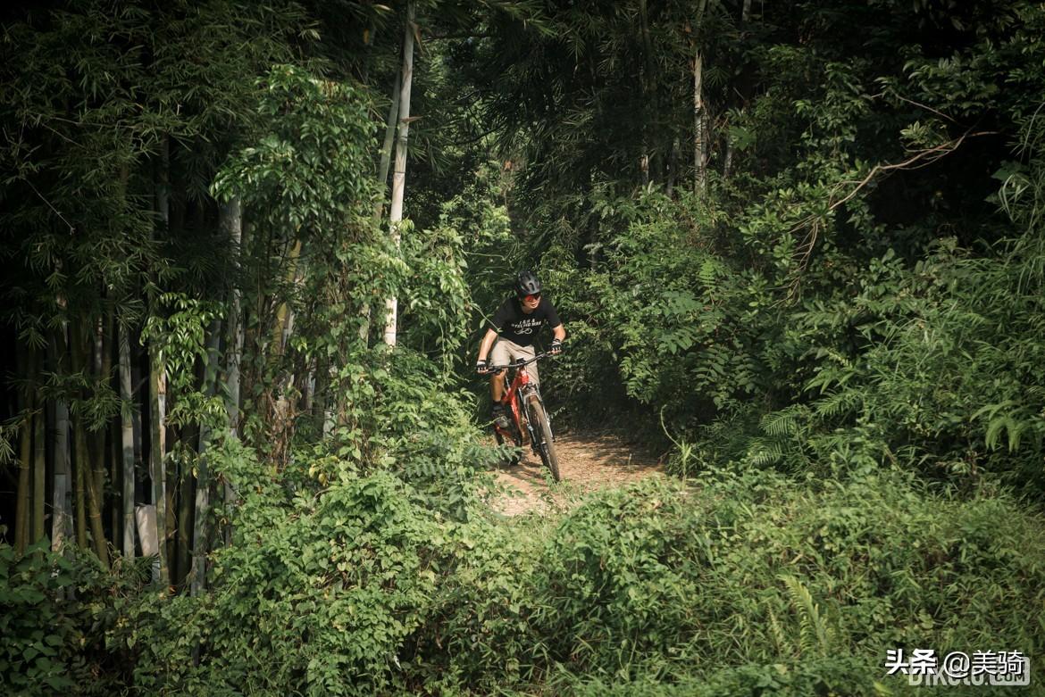 自行车锁死前叉好不好_自行车锁死前叉有什么用_自行车前叉锁死
