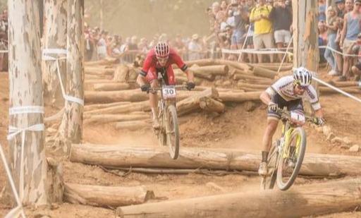 自行车锁死前叉维修拆解图_自行车锁死前叉好不好_自行车前叉锁死