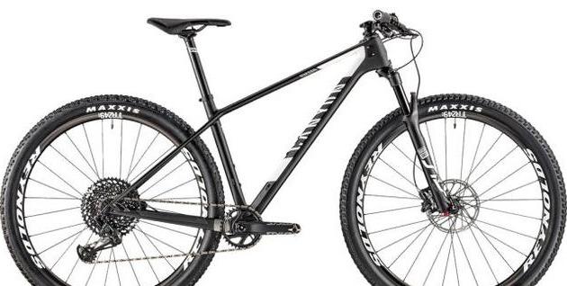 自行车锁死前叉维修拆解图_自行车前叉锁死_自行车锁死前叉好不好