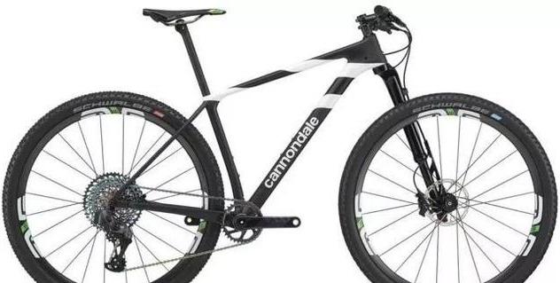 自行车前叉锁死_自行车锁死前叉好不好_自行车锁死前叉维修拆解图