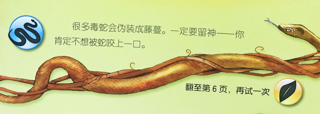 刹车线是什么意思_刹车线 英文_刹车英文字母