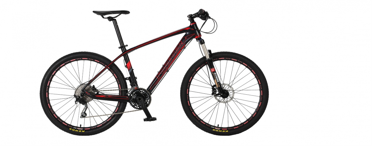 自行车的十大品牌 自行车上面牌子比较好