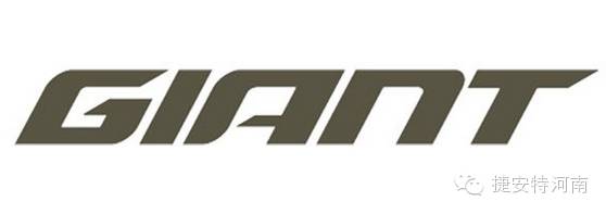 半岛·BOB官方网站 公路车还是山地车？