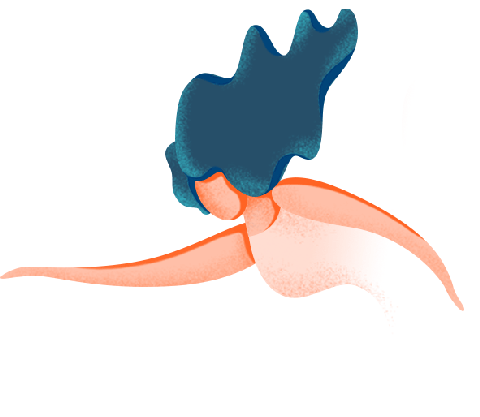 领航者有多少人上当_领航者是个什么组织_《领航者》