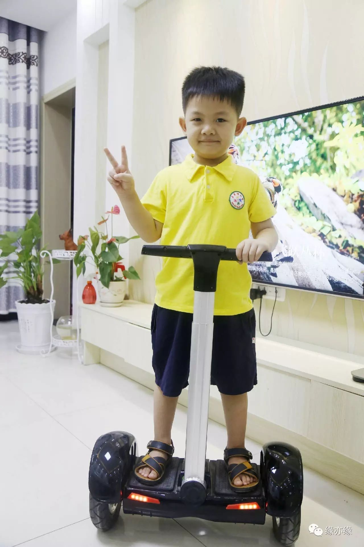 智能平衡小车的研究意义_智能平衡小车原理_智能平衡车特征