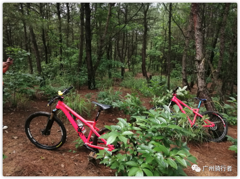 自行车前叉异响咔咔声_自行车前叉响_自行车前叉吱吱响