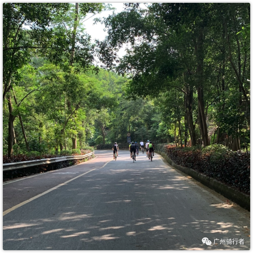 自行车前叉响_自行车前叉异响咔咔声_自行车前叉吱吱响