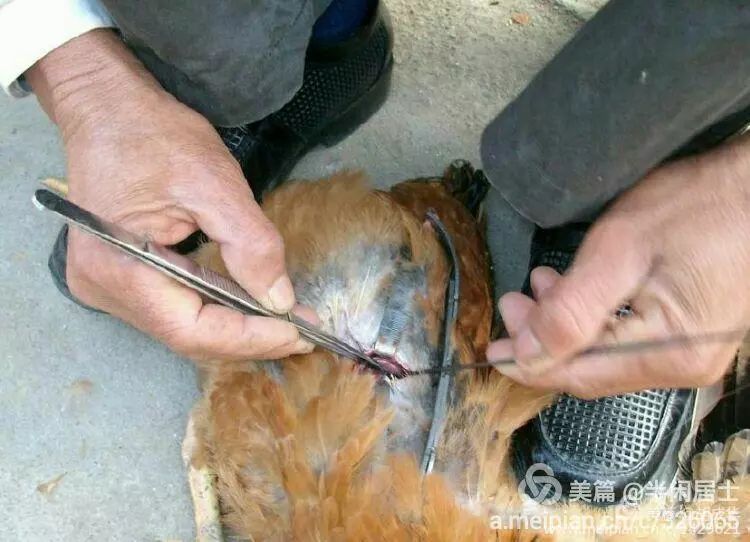 上海二手自行车百姓网_上海二手旧自行车市场_上海火车站二手自行车