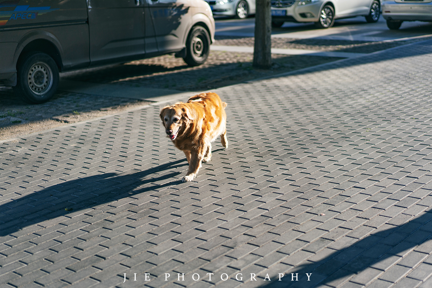 智能平衡车品牌_智能平衡小车_平衡智能车品牌排行榜