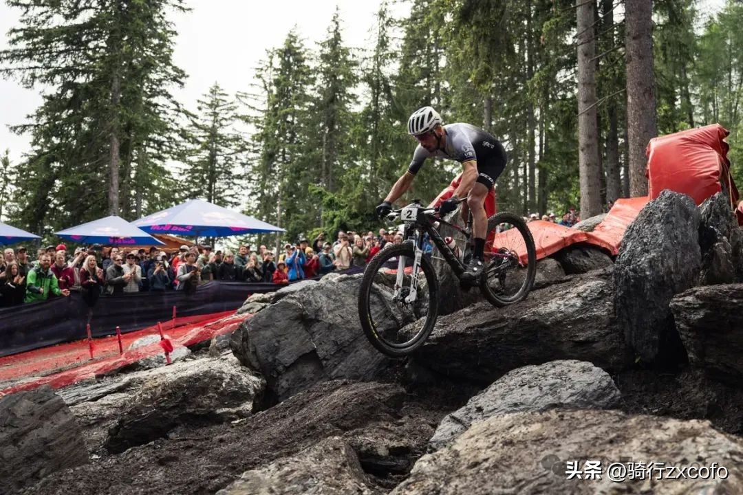 自行车xc和am的区别_xc自行车_自行车xc也叫什么