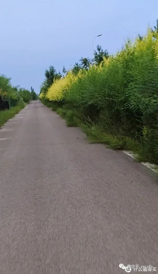 山地车线控前叉_山地车前叉线控和肩控的区别_山地车前叉肩控还是线控