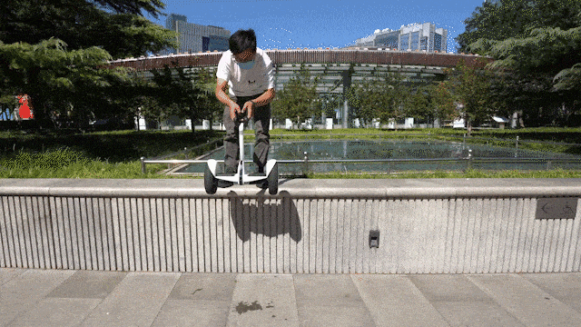 智能平衡车10大品牌_平衡智能车品牌排行榜_智能平衡车品牌