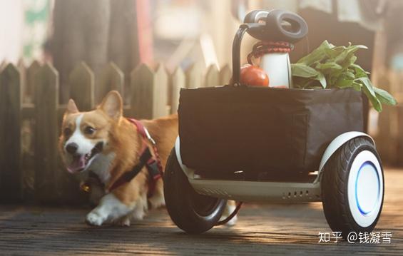 儿童智能体感平衡车什么牌子好_体感儿童智能平衡车_智能体感平衡车教学视频