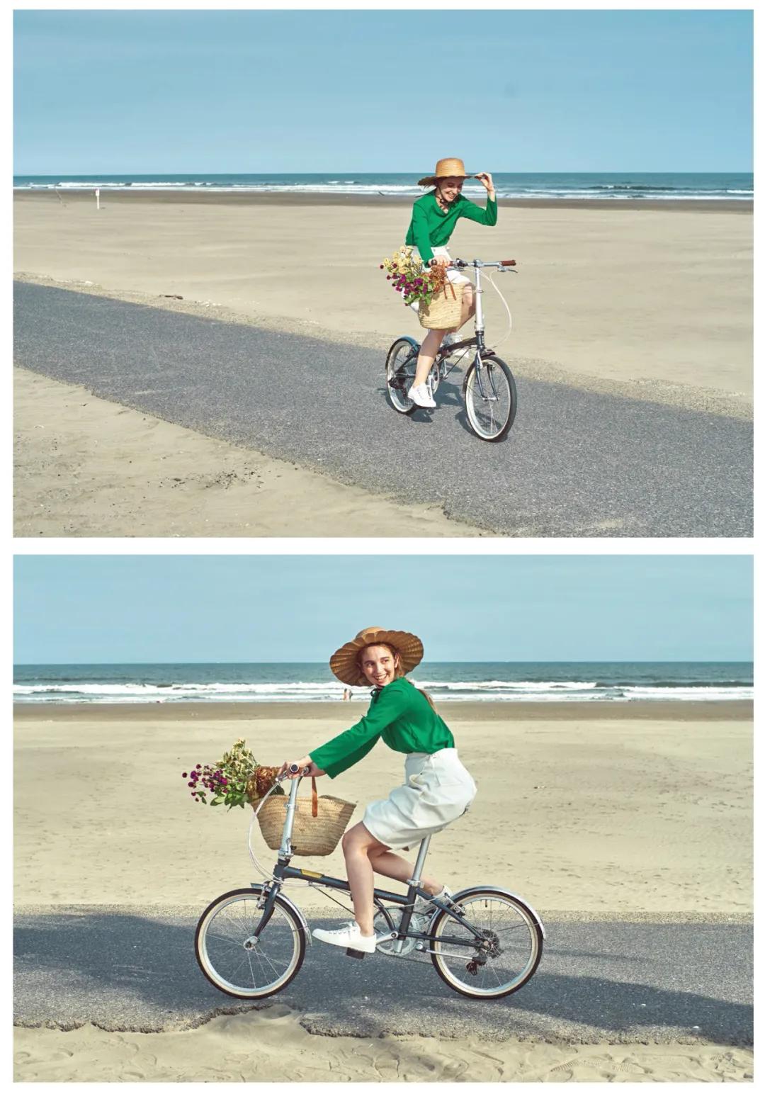 大行折叠自行车推荐_折叠自行车排名前十名_折叠自行车性价比