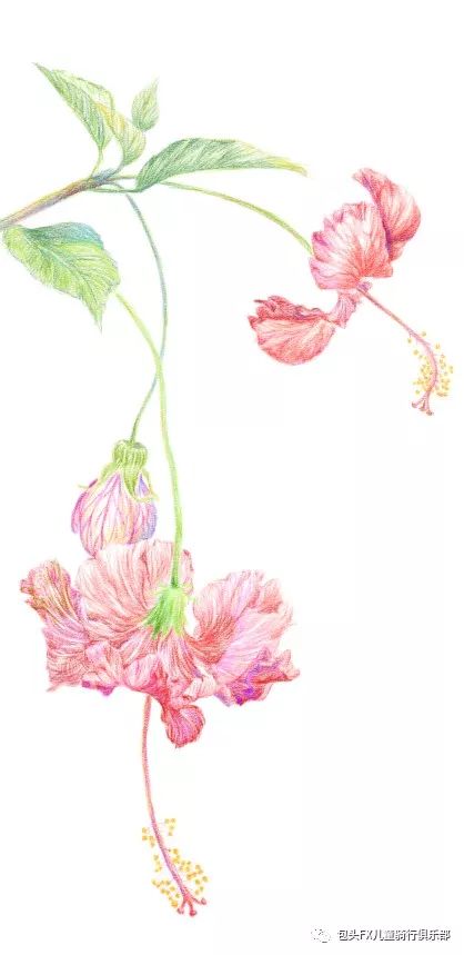 维体智能平衡车_智能平衡吧_智能体感平衡车教学视频