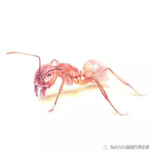 智能平衡吧_维体智能平衡车_智能体感平衡车教学视频