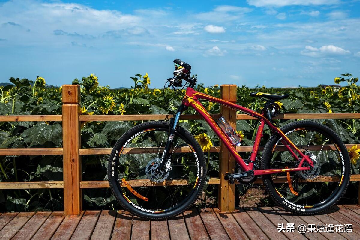 美利达 公路车 质量_公路车质量美利达标准_美利达公路车品牌排行榜