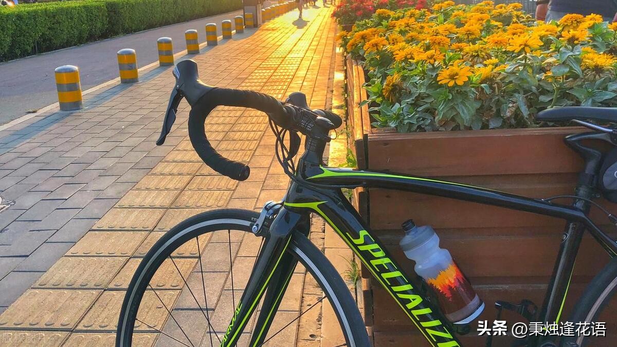 美利达公路车品牌排行榜_美利达 公路车 质量_公路车质量美利达标准