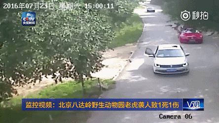 美利达勇士500_美利达自行车勇士500_美利达勇士500自行车价格