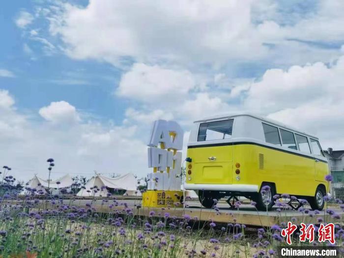 浦东机场镇_上海市浦东新区机场镇_浦东新区机场镇属于哪个镇