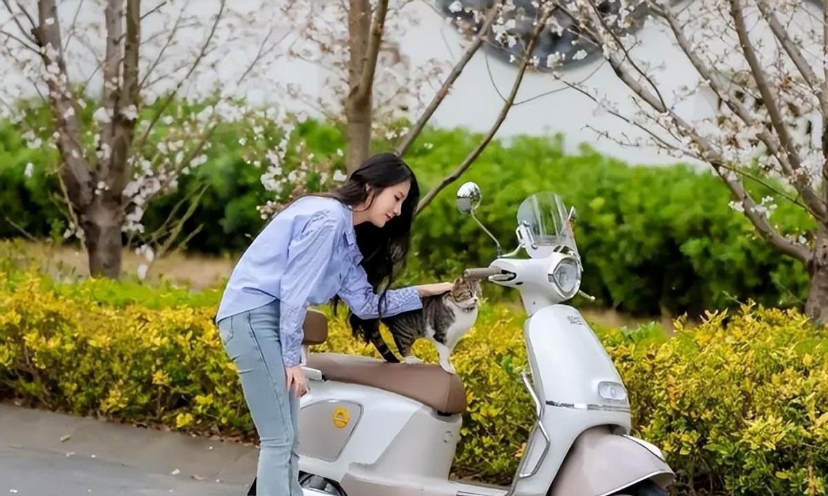 雅迪砖石电动车_雅迪电动车钻石系列_雅迪钻石版电动车