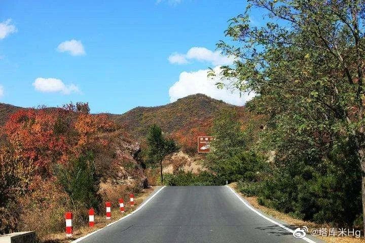 美利达飞度 中轴_美利达飞度公路自行车_美利达飞度一共有几款