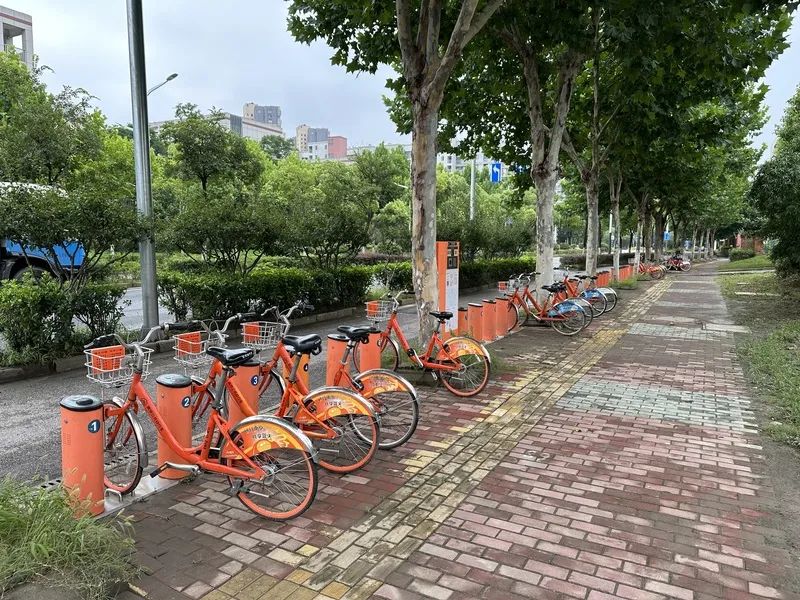 在南京,公共自行车曾一度陷入困境。姜易杉 摄