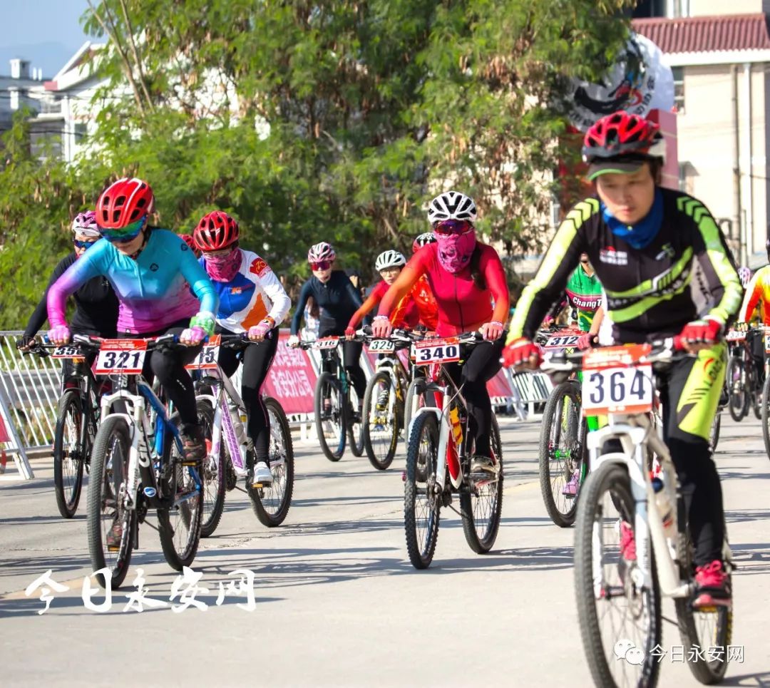 欧亚马自行车_欧亚马自行车哪款好骑_欧亚马自行车型号怎么看