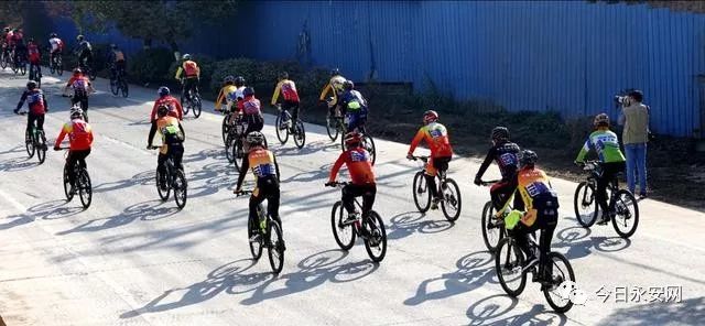 欧亚马自行车哪款好骑_欧亚马自行车型号怎么看_欧亚马自行车