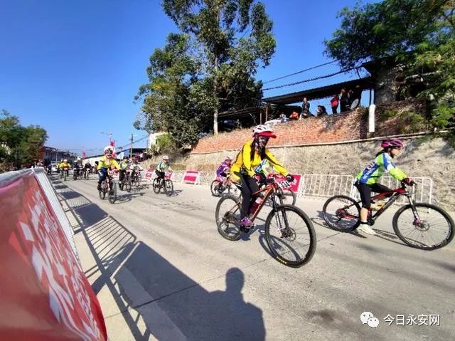 欧亚马自行车_欧亚马自行车哪款好骑_欧亚马自行车型号怎么看