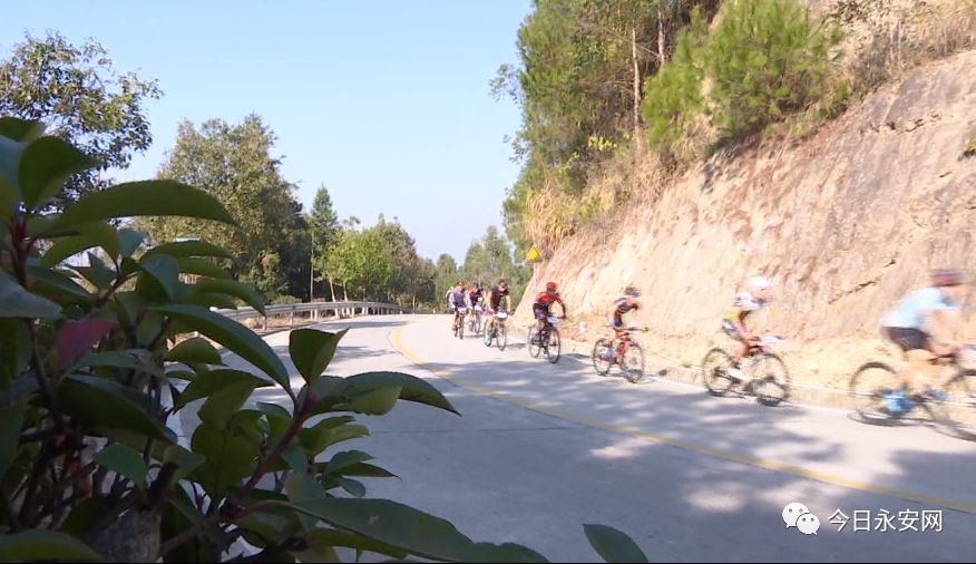 欧亚马自行车哪款好骑_欧亚马自行车_欧亚马自行车型号怎么看