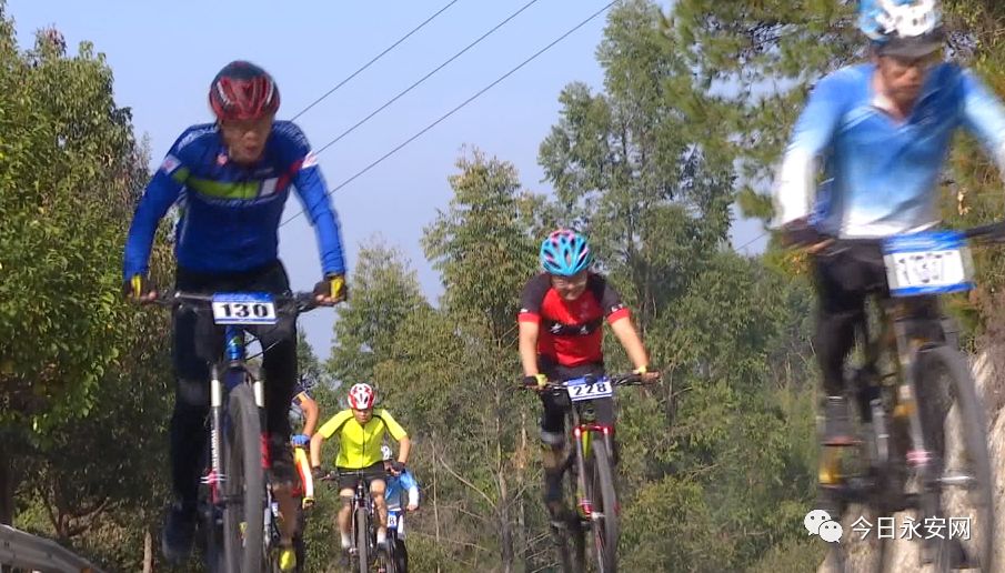 欧亚马自行车型号怎么看_欧亚马自行车_欧亚马自行车哪款好骑