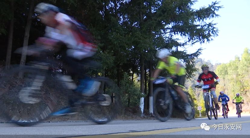 欧亚马自行车型号怎么看_欧亚马自行车_欧亚马自行车哪款好骑