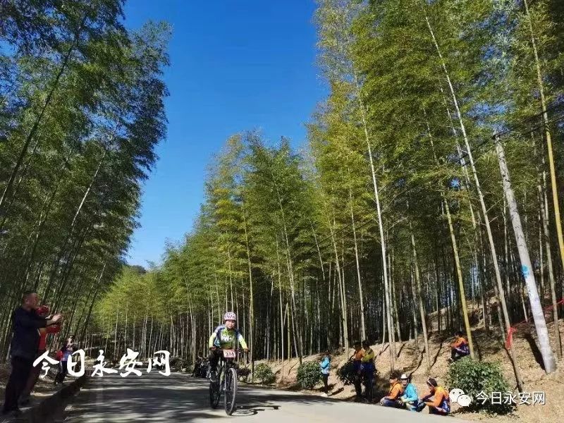 欧亚马自行车哪款好骑_欧亚马自行车型号怎么看_欧亚马自行车