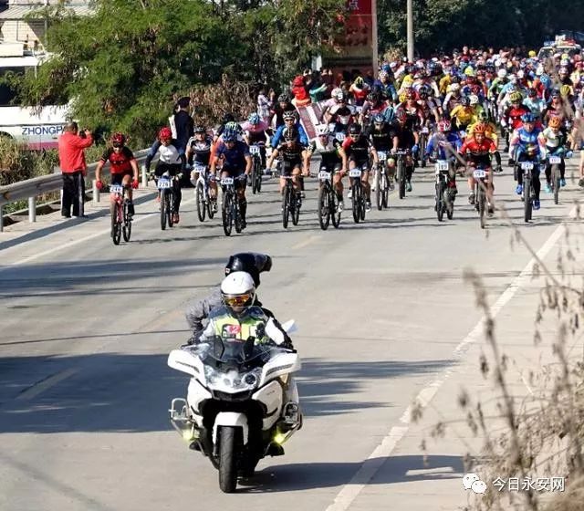 欧亚马自行车_欧亚马自行车型号怎么看_欧亚马自行车哪款好骑