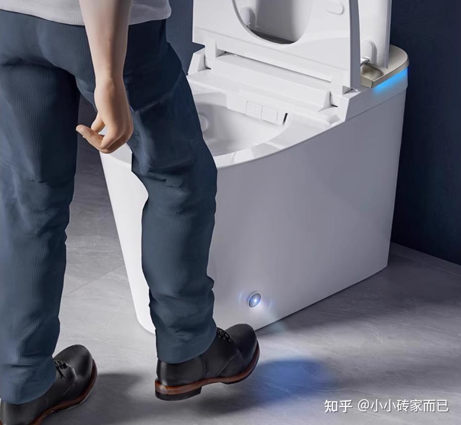 智能马桶功能介绍_智能平衡车什么牌子好_智能马桶选购指南
